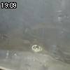 19時05分 ごろ
