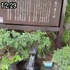 12時25分 ごろ