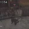 13時50分 ごろ