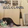 22時45分 ごろ